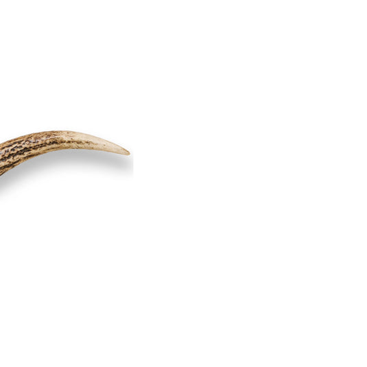 Cutit de vanatoare JOKER GABATO, maner din corn de caprioara, CC141