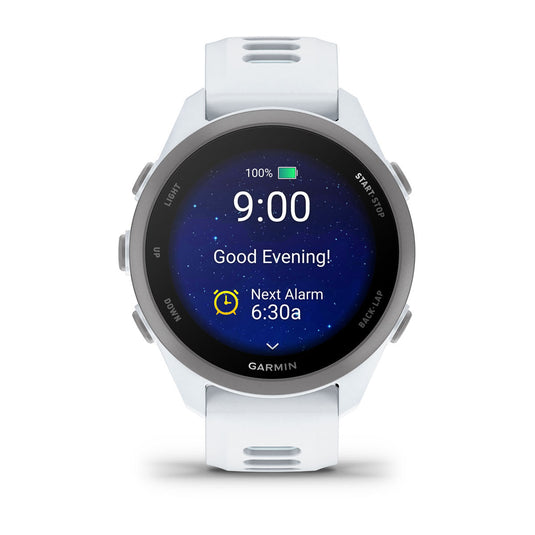 Forerunner 170 - 43mm - Whitestone I Cloud Blue