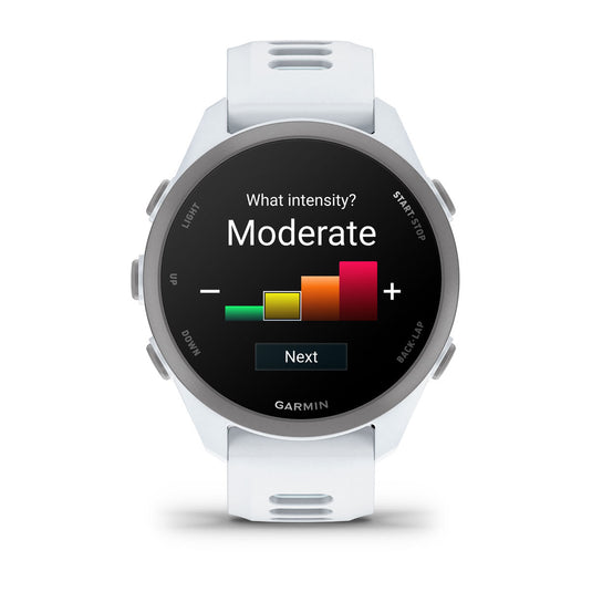 Forerunner 170 - 43mm - Whitestone I Cloud Blue