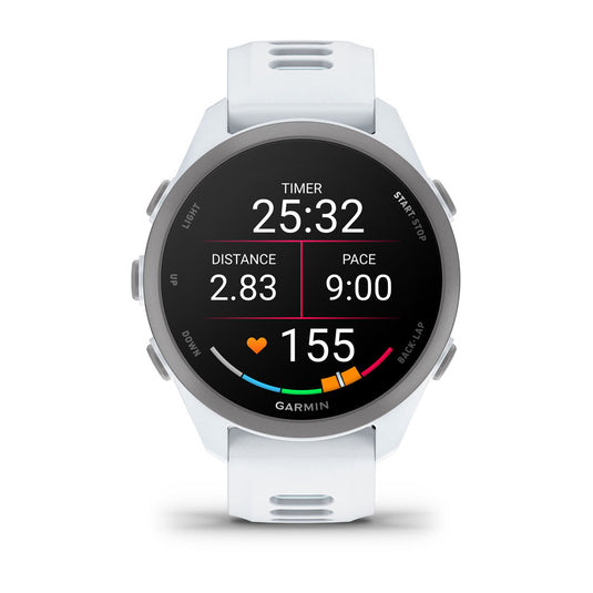 Forerunner 170 - 43mm - Whitestone I Cloud Blue