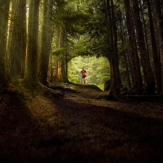 GARMIN - inReach mini 2 - comunicator prin satelit - portocaliu