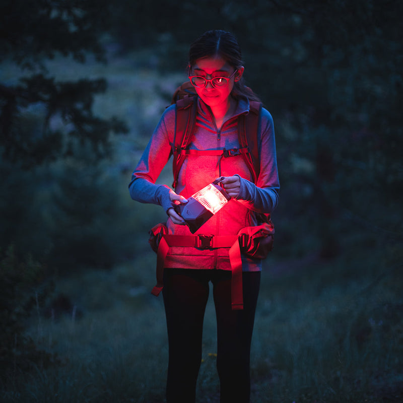 Load image into Gallery viewer, Lanterna pentru cort / camping, 3 moduri, functie PowerBank, NEBO GALILEO 500
