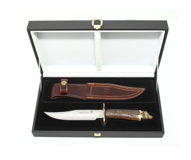 Load image into Gallery viewer, Cutit Muela WILDBOAR-16A, maner corn de cerb, lama 16cm

