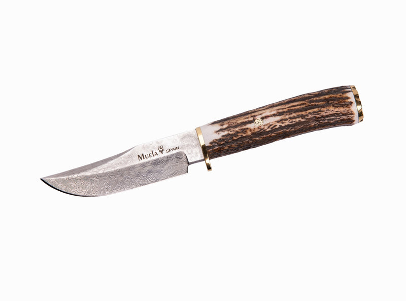 Load image into Gallery viewer, Cutit Vanatoare Muela Braco-11A, maner corn de cerb lama 11 cm
