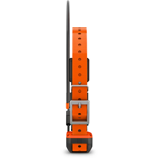 Zgardă GPS pentru Câini GARMIN Alpha T20K