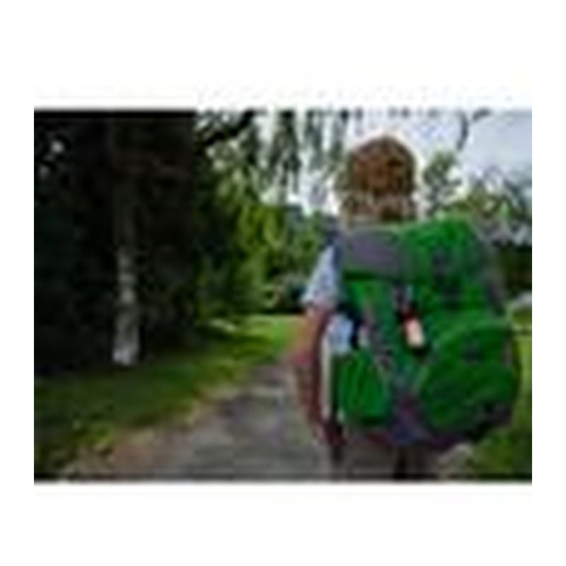 Load image into Gallery viewer, LEDLENSER LAMPA CAMPING ML4 300LM/1XLI-ION+USB
