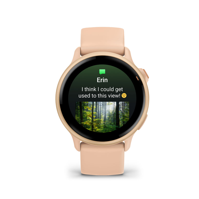 Load image into Gallery viewer, Garmin - Vivoactive 6 - Metallic
